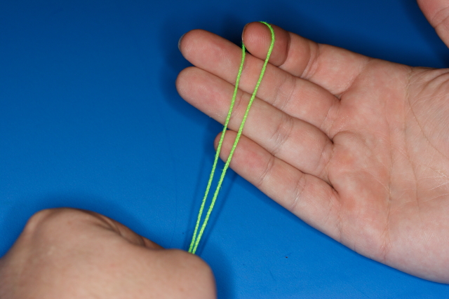 IMG_2723-low-loop-rig